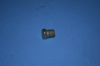 Пробка крышки гидронатяжителя 406 дв. КГ 1/8"